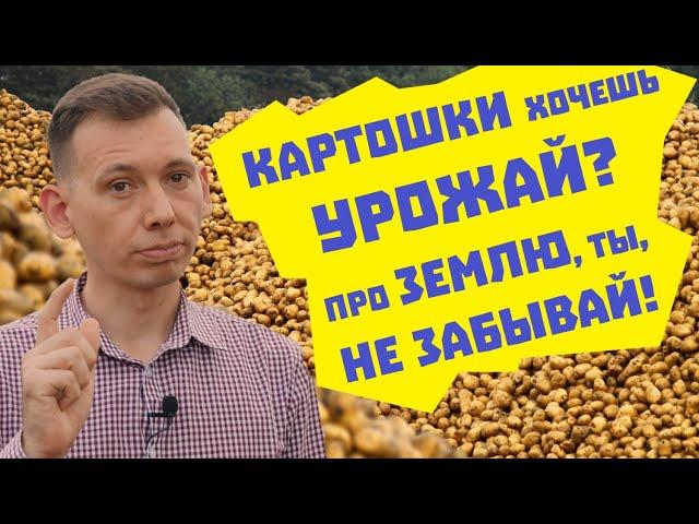 Как вырастить картофель и сохранить плодородие почвы?