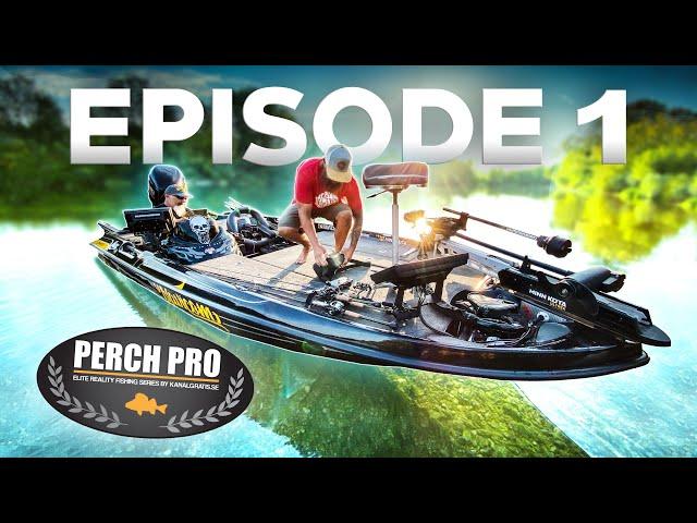 PERCH PRO 7 - Episode 1