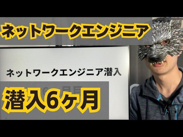 IT未経験からネットワークエンジニアになって半年経ったので今までを振り返る【ヌルゲー気味】