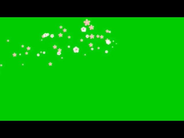 Flower green screen