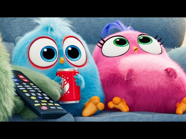 THE ANGRY BIRDS MOVIE 2 - 11 Minutes Clips + Trailers (2019)