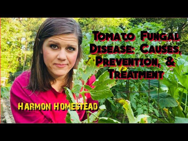 Tomato Fungal Disease: Causes, Prevention, & Treatment