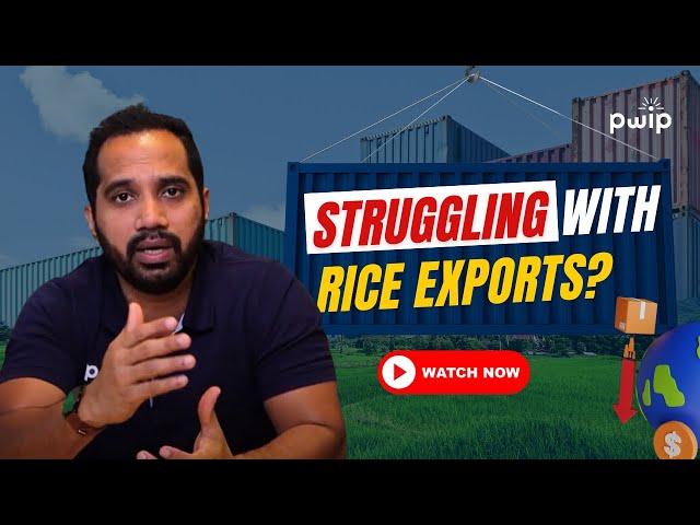 Don't Make These Mistakes in the Rice Export Industry