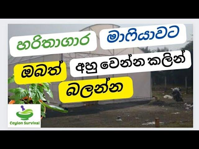 මුදල් හූරගෙන කන හරිතාගාර හොරුන්ගෙන් පරෙස්සම් වෙන්න.|Polytunnel Scam Srilanka |Ceylon Survival