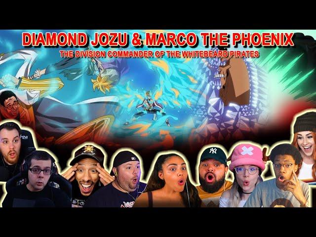 JOZU & MARCO!!! The Division Commander of The Whitebeard Pirates - Reaction Mashup One Piece