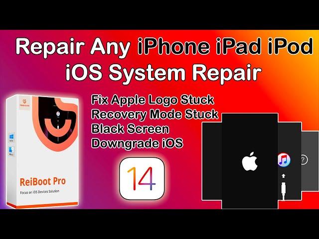 Fix iPhone/iPad Jailbreak Failed & Fix Stuck Apple Logo,Boot Loop, Black Screen,Tenorshare Reiboot