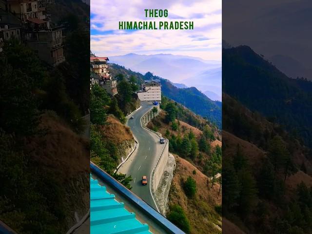 Theog | Shimla | Fresh Morning View   #shorts #himachal #theog #trending #travel