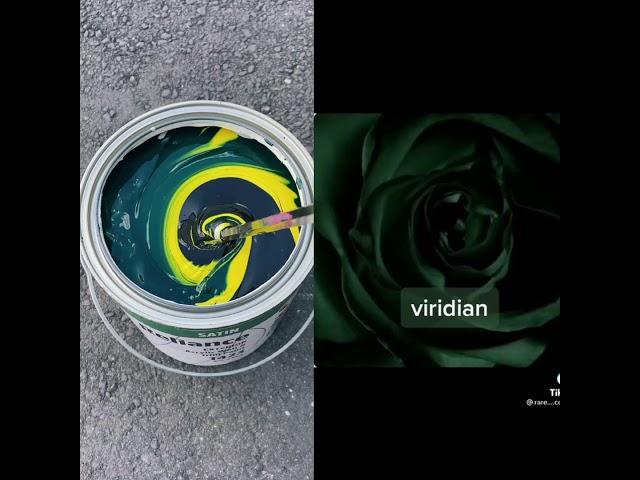 Rare Color Duet Series Part 3: Viridian #shorts