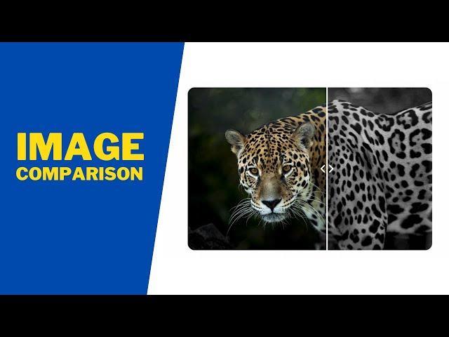 How To Create An Image Comparison Slider Using HTML, CSS and JavaScript