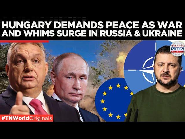 Hungary and Ukraine Ministers Engage in Open Dialogue Amid Russian Tensions | Times Now World