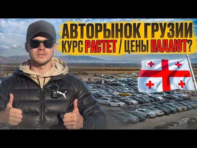 Авторынок Грузия ноябрь 2024. Курс растет ЦЕНЫ падают???