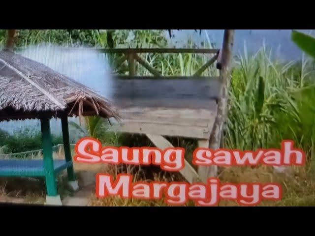 Opphaa goes to Margajaya Saung Sawah ||Estetik