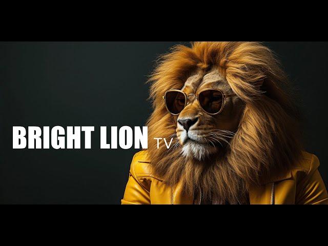 Bright Lion TV