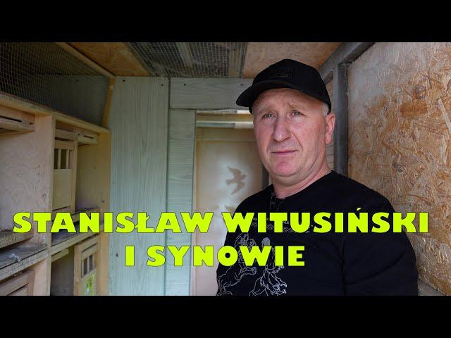 WITUSIŃSKI TEAM - CZOŁOWA HODOWLA GOŁĘBI POCZTOWYCH