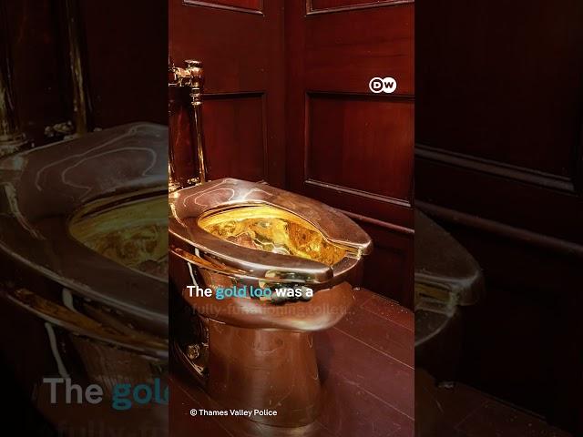 Golden toilet stolen from English palace | DW News