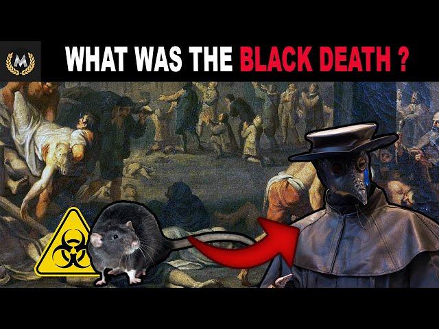 What Caused the Black Death and How Did It Spread?