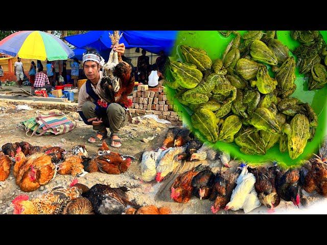 Shocking  omg Frog  meats only Rs 20 || Nagaland Dimapur Super Market || Best life