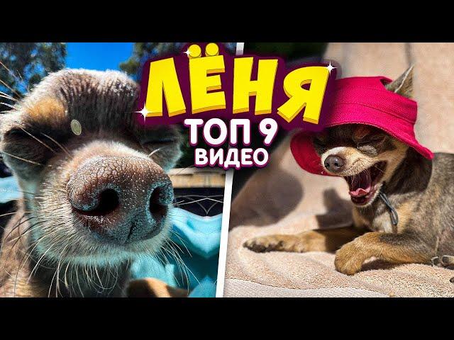 ТОП 9 видео | Лёня