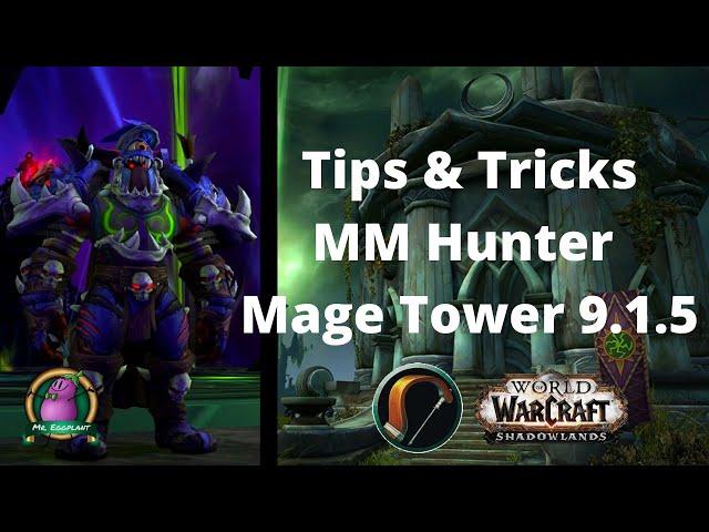 Tips & Tricks for "Thwarting the Twins" Mage Tower w/ Commentary | MM Hunter POV | Macros | 9.1.5