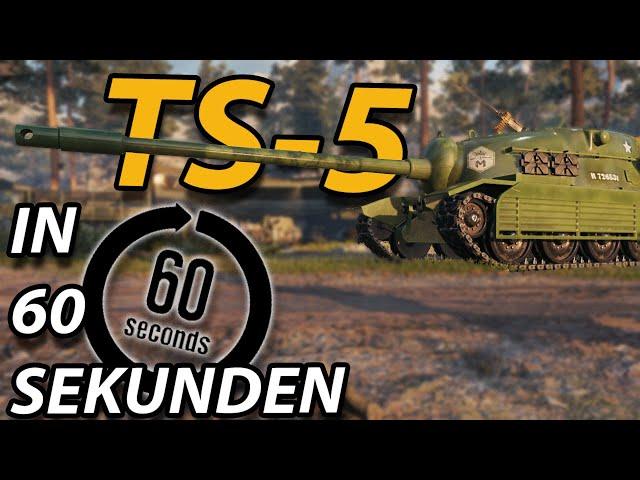 Der TS-5 in 60 SEKUNDEN - ShortsReview