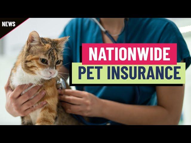 Nationwide drops 100,000 pet insurance policies as costs rise