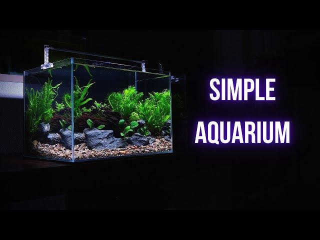 SIMPLE PLANTED AQUARIUM SETUP | Step by step LOW TECH AQUASCAPING TUTORIAL | EP1