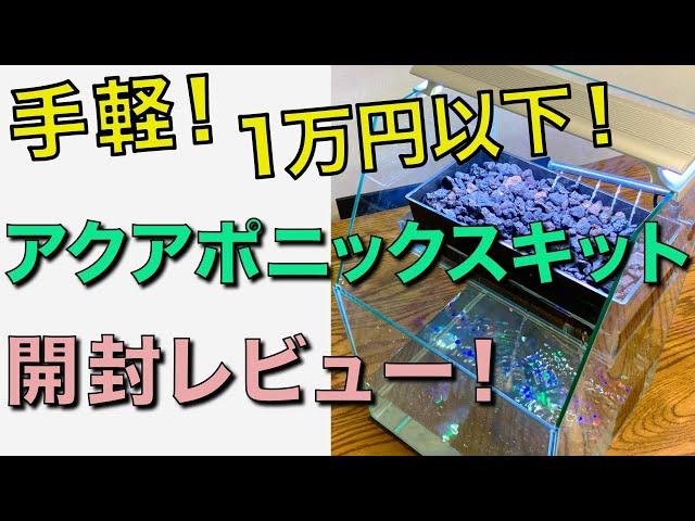 【１万円以下】アクアリウムと水耕栽培が同時にできる『レグラスポニックス』をレビュー