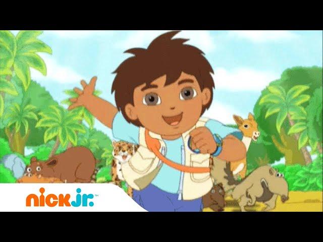 Go Diego Go | Herkenningsmelodie | Nick Jr. Nederlands