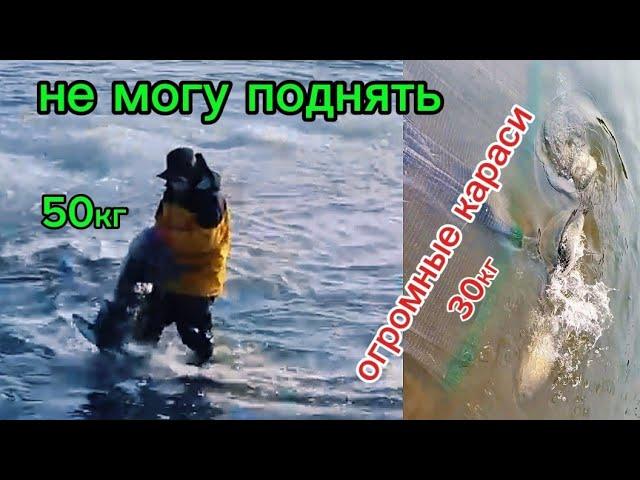 50 кг за один заброс. ВТОРОЙ ЗАБРОС КАРАСИ 15 ШТУК. Кастинговая сеть. #fishing #рыбалка #낚시피플