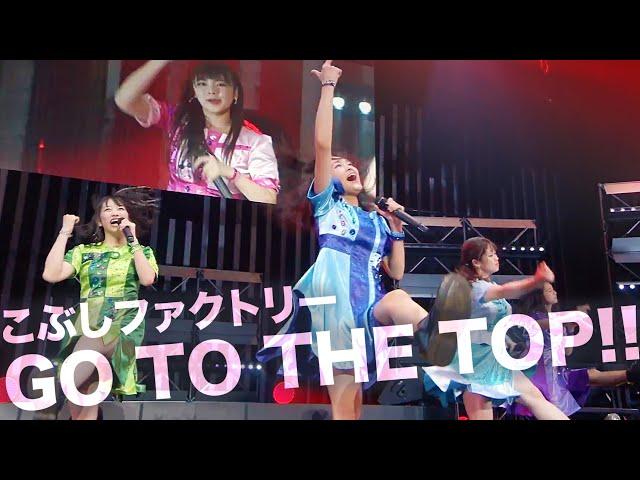 こぶしファクトリー「GO TO THE TOP!!」2019 春麗 〜GWスペシャル〜