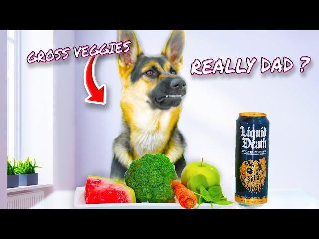 My Dog Eats Vegetables | ASMR