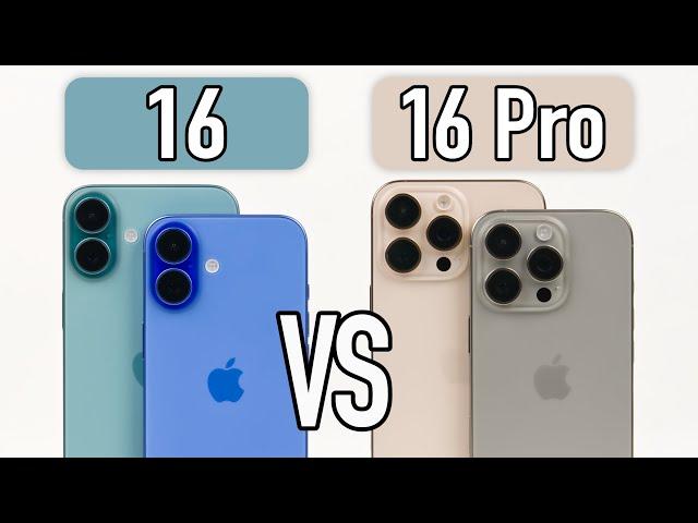 iPhone 16/16 Plus vs 16 Pro/16 Pro Max - Comparison | Make the right choice!