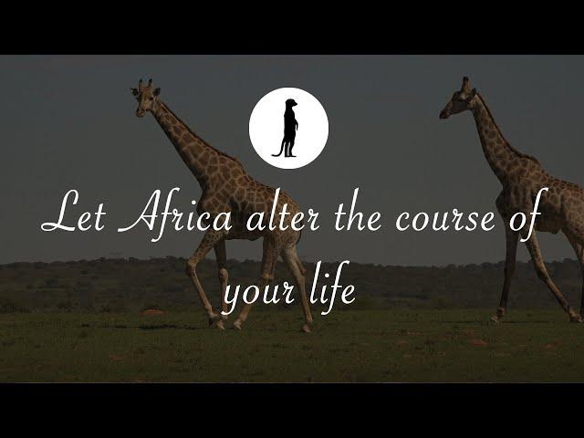 Experience Africa