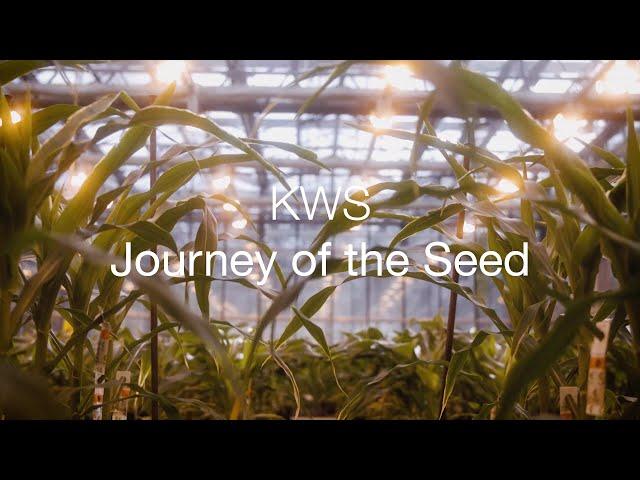 KWS Journey of the Seed