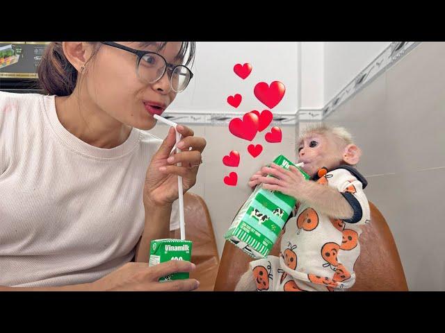 Sweet Love Story: Lucky and his endless love for a fragrant milk bottle