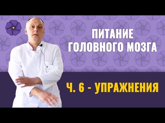 Питание головного мозга, ч.6 – упражнения