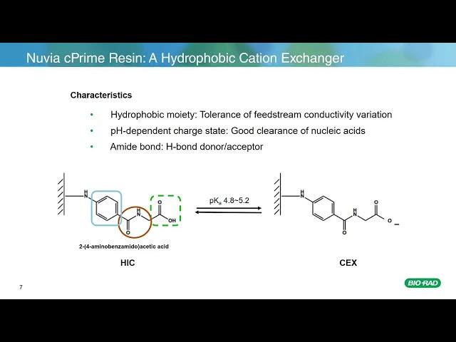 Mixed-Mode Chromatography — Optimizing Target Purity and Recovery with Buffer Additives