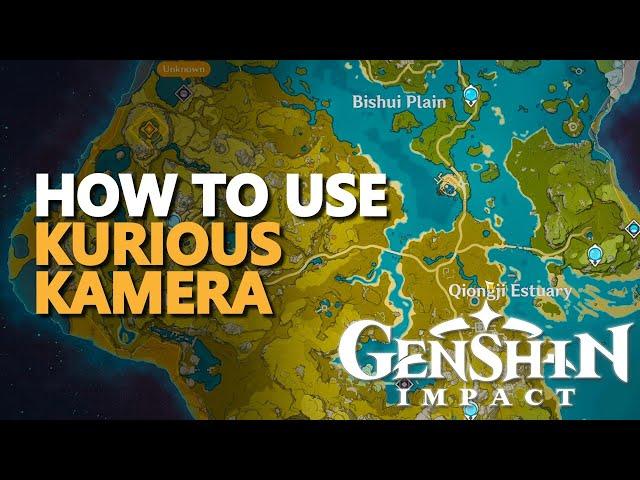 How to use Kurious Kamera Genshin Impact