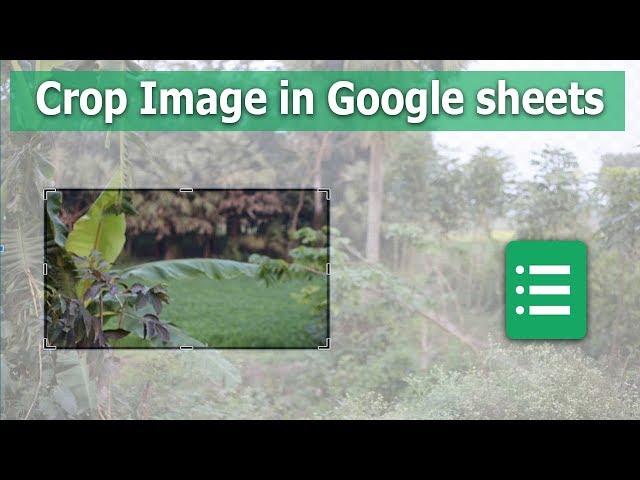 How to Crop or Cutting Image to Sheets in Google Spreadsheet