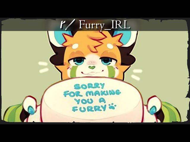 r/FurryIRL - SORRY...