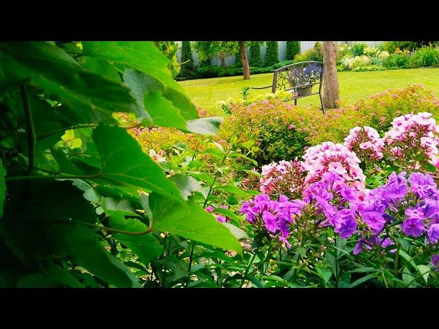 ЯРКАЯ РЕЛАКС ПРОГУЛКА по САДУ В ИЮЛЕ #garden #сад #цветы #дом