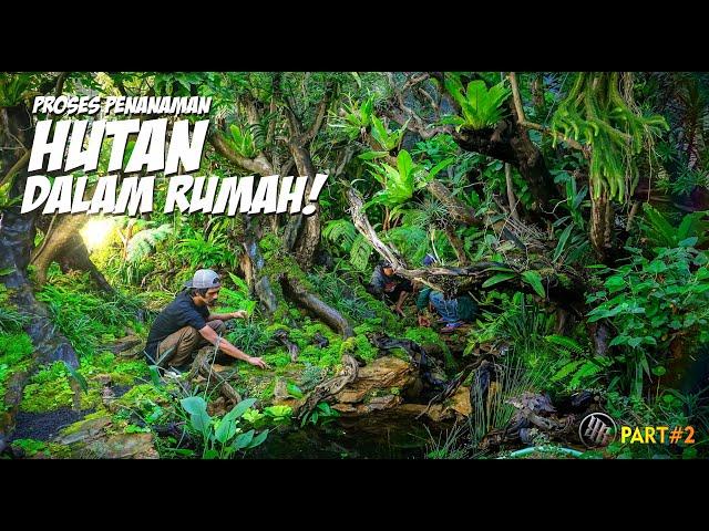 Menuju Finishing Hutan Hujan Buatan // part 2