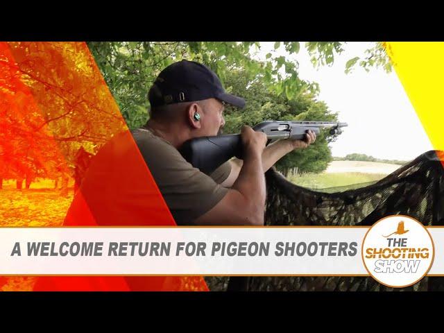 The Shooting Show - Pigeon control over clover and a roebuck stalking challenge