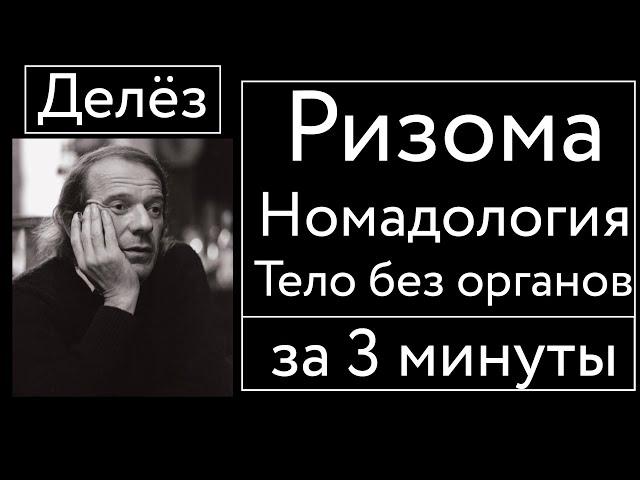 Ризома, Номадология, ТбО за 3 минуты