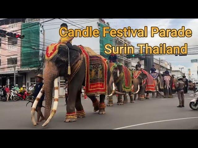 Candle Festival Parade 2024 or 2567BE #thailand #Surin # อลังการช้างสุรินทร์ร่วมขบวนมหกรรมแห่เทียน