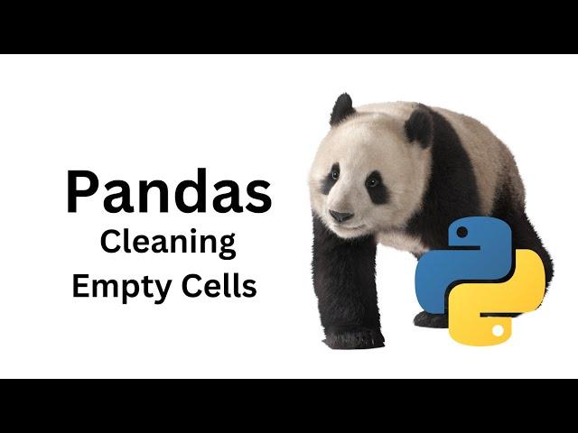 7 Pandas Cleaning Empty Cells