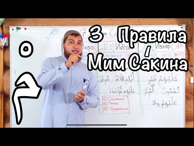 Урок 4: Правила Мим-Сакина (المِيمُ  السَّاكِنَة)