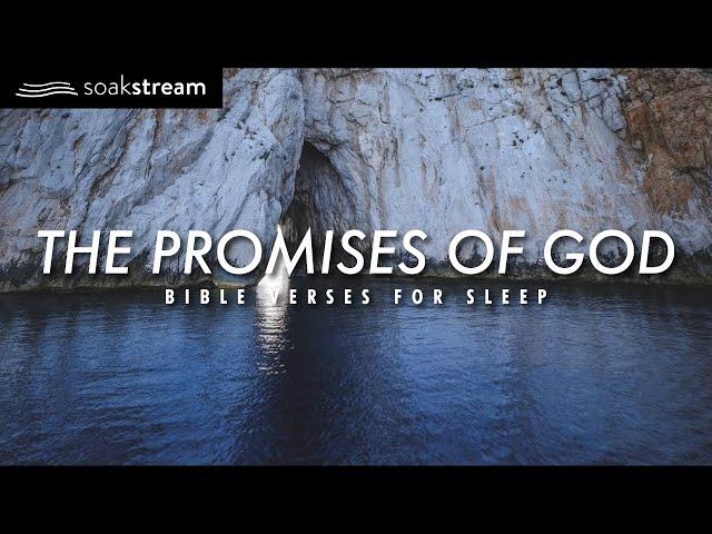 The Promises of God | Bible Verses For Sleep