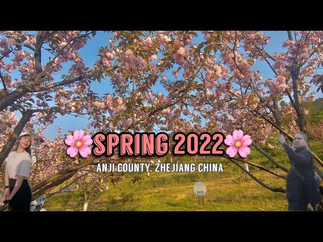 EXPLORING ANJI COUNTY/ SPRING SEASON 2022/ ZHEJIANG CHINA