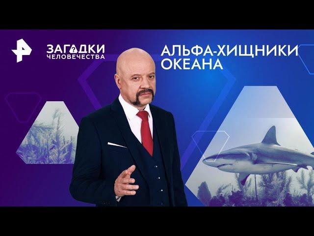 Альфа-хищники океана — Загадки человечества (18.11.2024)